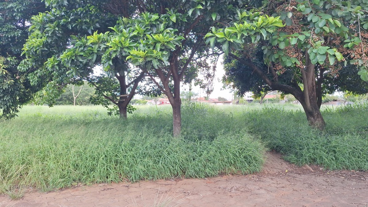 Mesmo problema, outro local: moradores denunciam abandono de praça em Araraquara