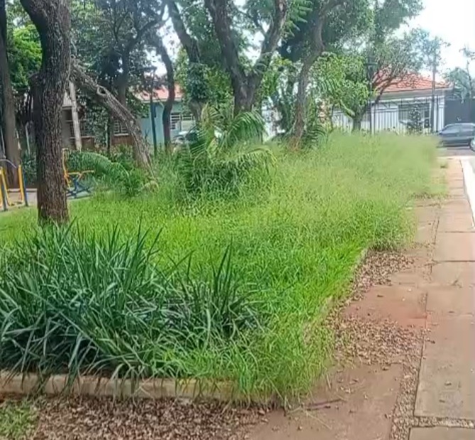 Praça da Vila Xavier vira alvo de reclamações por mato alto