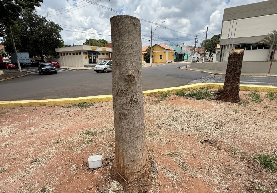 Só no toco: Prefeitura de Ribeirão Bonito rapela praça e revolta moradores