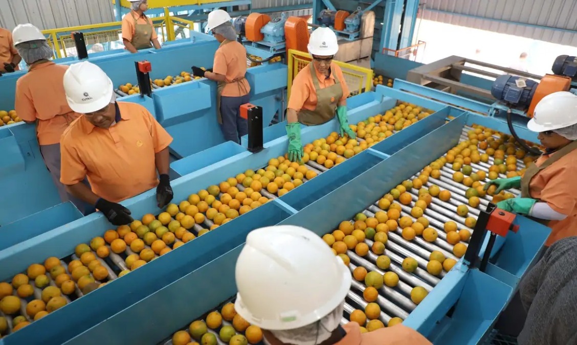 Novas vagas: semana termina com 64 vagas de emprego no PAT Araraquara