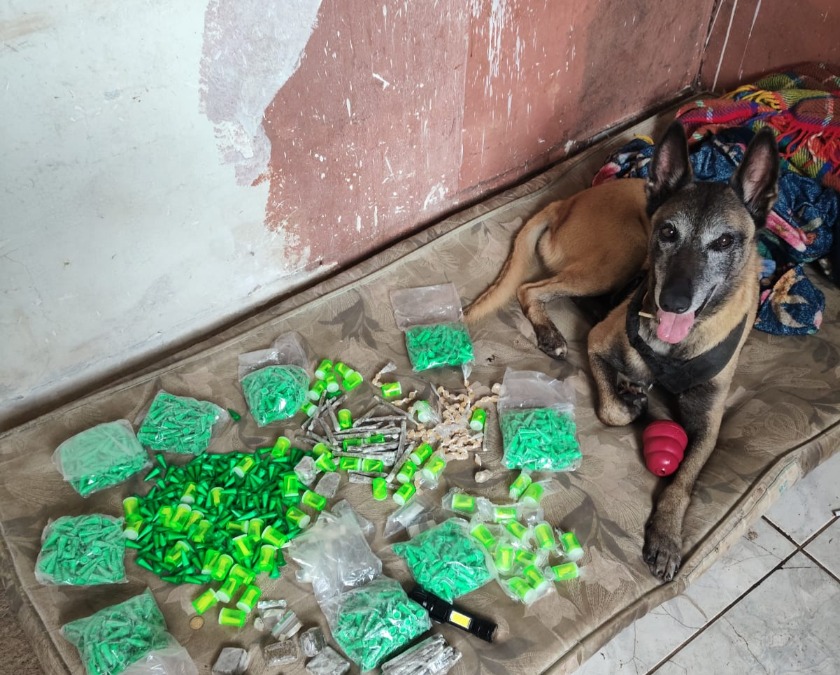 BAEP Canil apreende mais de 2,5 kg de drogas e prende homem no Residencial dos Oitis