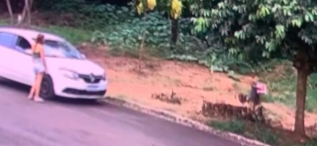 Polícia Civil ouve avó e neta acusadas de abandonar cachorro dentro de caixa em Boa Esperança do Sul
