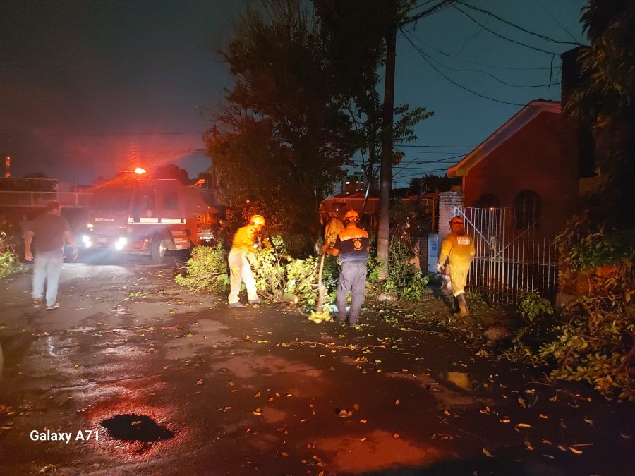 Chuva intensa causa estragos em Araraquara e mobiliza força-tarefa