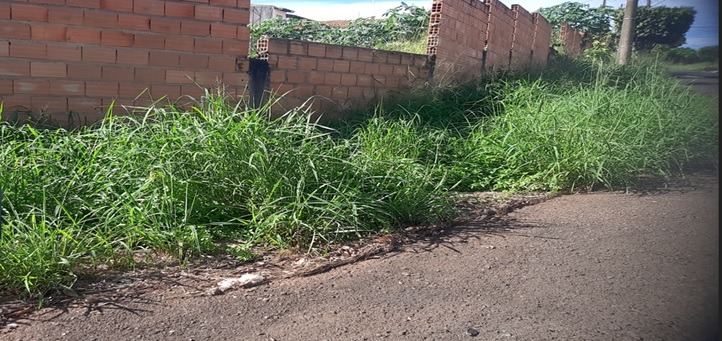 Araraquara notifica terrenos e reforça fiscalização com multas de até R$ 6 mil