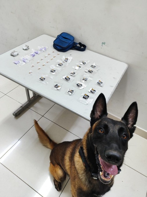Cão farejador do BAEP localiza drogas e trio é preso no Jardim Iguatemi