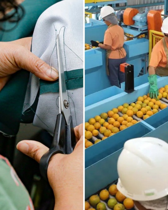 PAT de Araraquara abre 29 vagas; oportunidades em serviços, produção e indústria