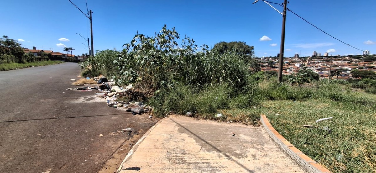 Rua sem asfalto e tomada pelo mato gera reclamação de moradores em Araraquara