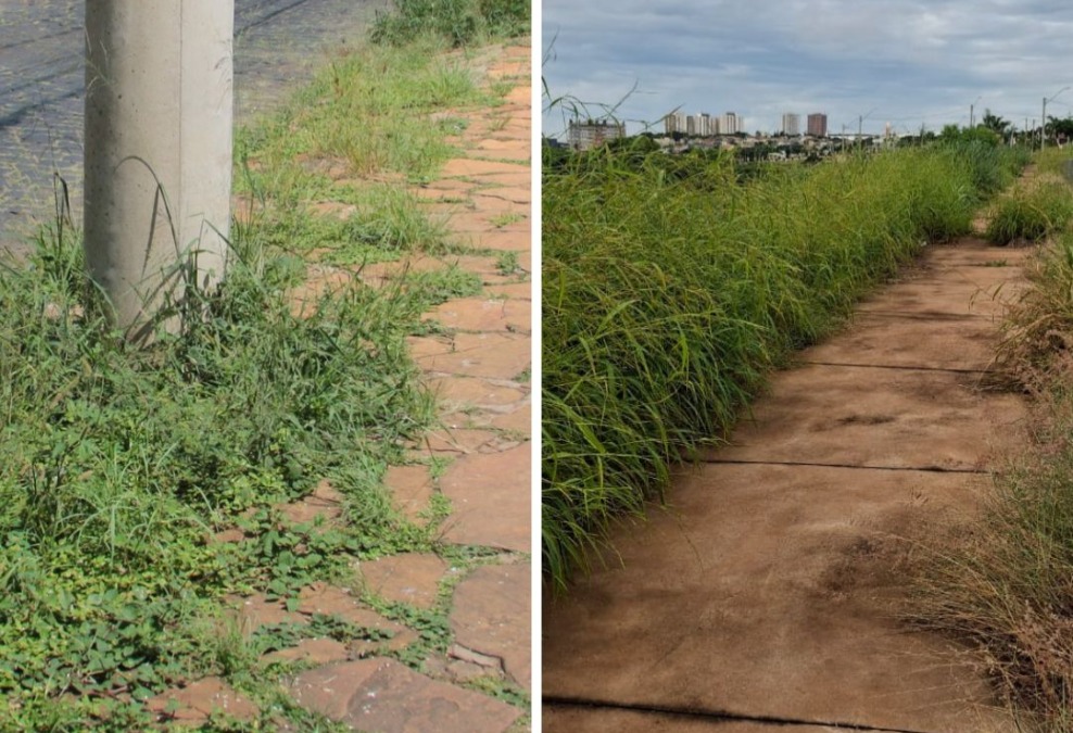 Prefeitura de Araraquara notifica terrenos e ameaça multas altas; moradores cobram: 'cadê o exemplo?'