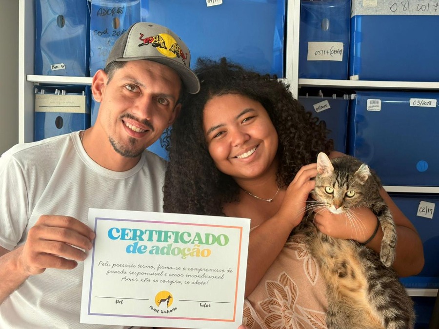 Cães e gatos à espera de um lar: campanha de adoção acontece neste sábado (25) em Araraquara