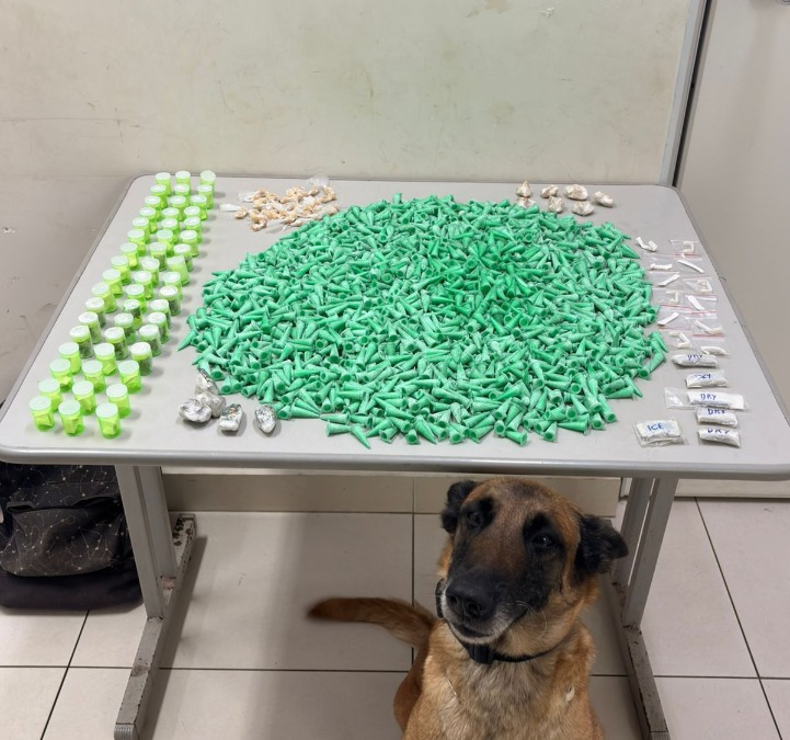 Canil do BAEP apreende grande quantidade de drogas no Residencial dos Oitis