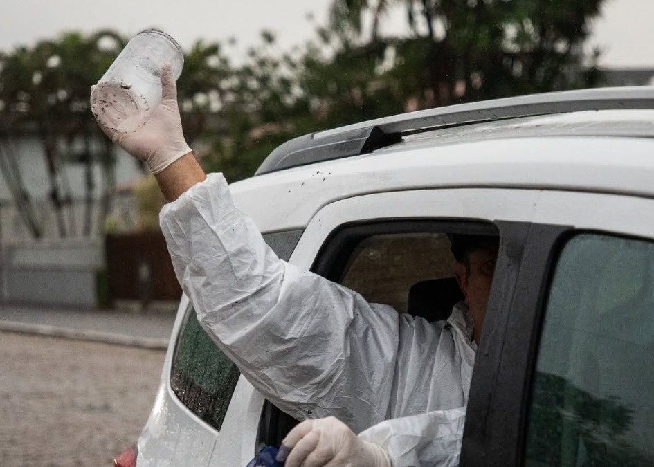 Araraquara vai liberar mosquitos contra a dengue; entenda como funciona o método