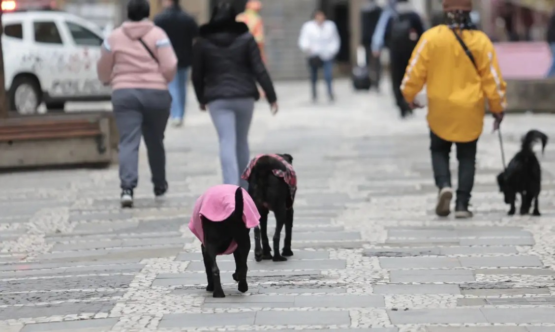 Frio marca o início da semana em Araraquara; veja os próximos dias
