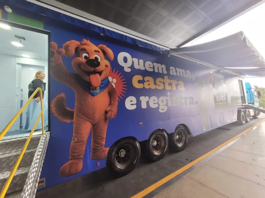 Veja como cadastrar seu pet para castração gratuita em Araraquara