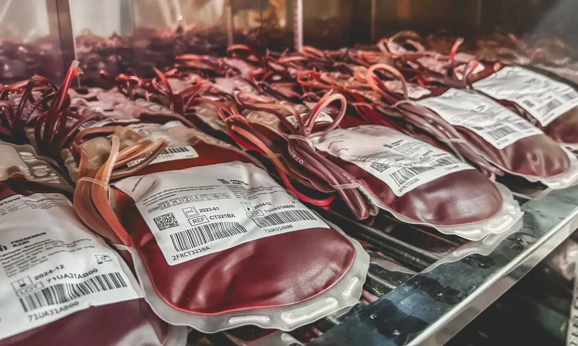 Doação de sangue tem novas regras: idade máxima acaba e prazos de espera mudam; entenda