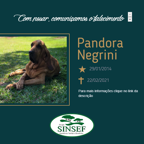 O Grupo Sinsef comunica o falecimento da Pet Pandora Negrini