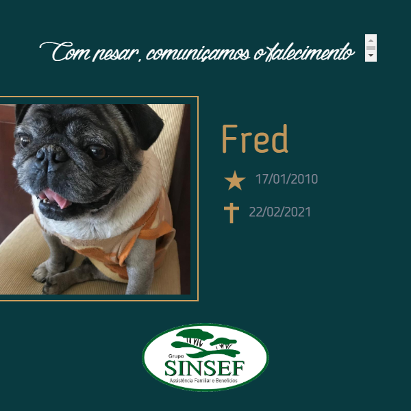 O Grupo Sinsef Comunica O Falecimento do Pet Fred Pereira de Camargo