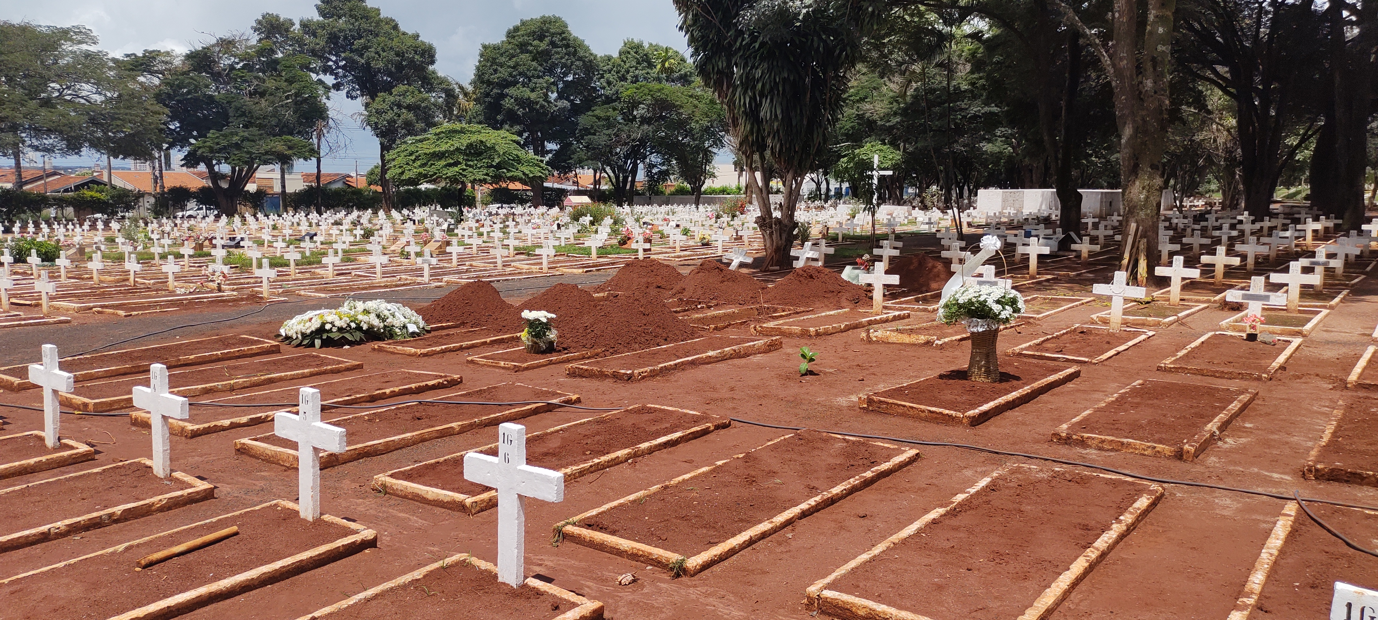 Araraquara bate recorde de sepultamentos neste domingo  (7)