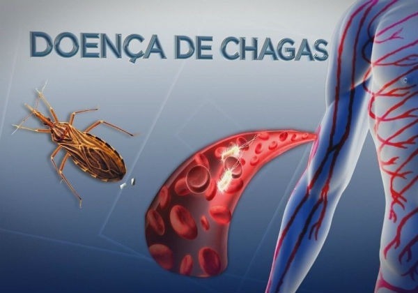 Dia Mundial Da Doença De Chagas Relembra A Importância Do Combate À Doença