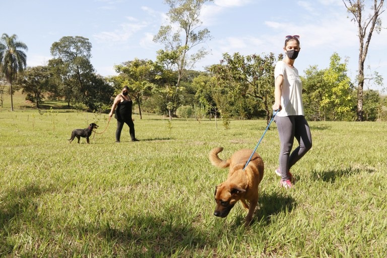Voluntários "Amigo Bicho" podem caminhar com animais do canil municipal