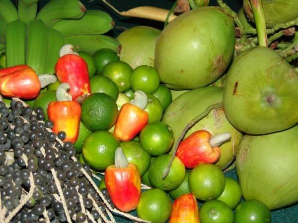 Veja como vai ser a doação de alimentos hortifrúti no Ceagesp Araraquara