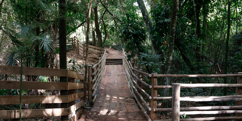 Justiça de Araraquara determina a reabertura de parques da cidade