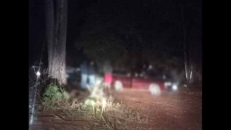 ​Vigilância e PM acabam com “festinha clandestina” em mata de Boa Esperança