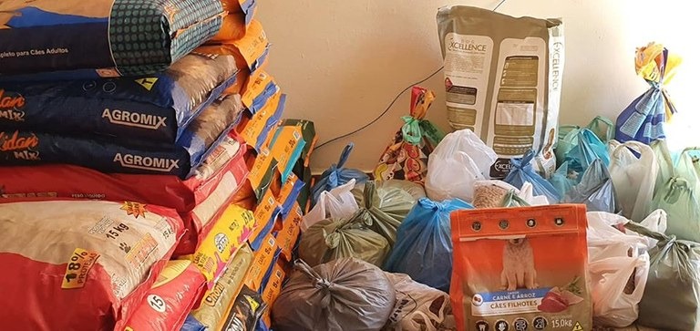 Rede de Solidariedade arrecada ração para cães e gatos