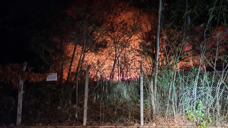 Vídeo: incêndio atinge mata próxima de residências e causa transtorno aos moradores em Matão