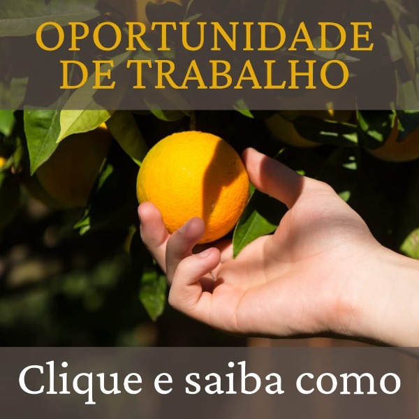 Oportunidade de trabalho via processo seletivo