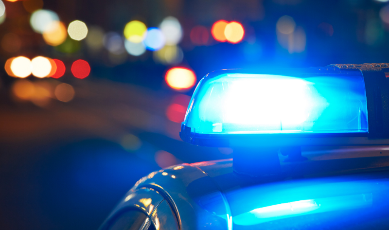 Arma que matou onça-parda em assentamento é ilegal