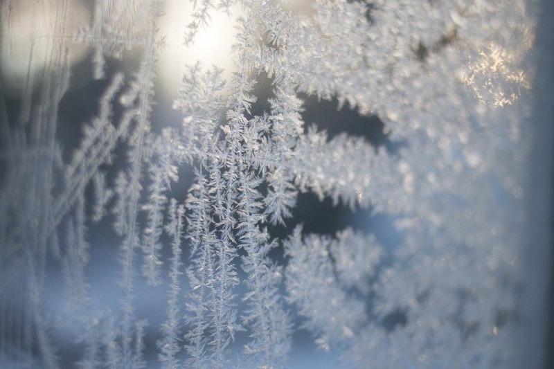 Frio intenso chega em Araraquara e Defesa Civil faz alerta