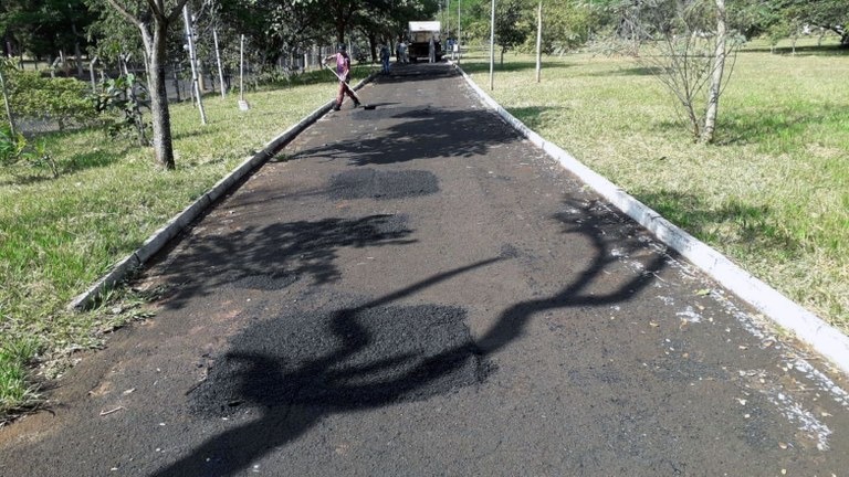 Parques do Botânico e Pinheirinho poderão ser reabertos. Entenda