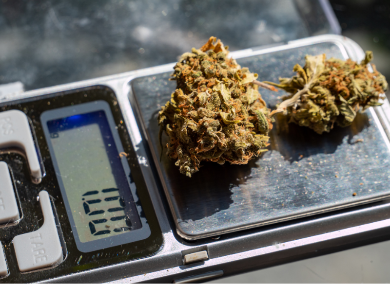 Jovens são presos por tráfico de drogas, no Biagioni
