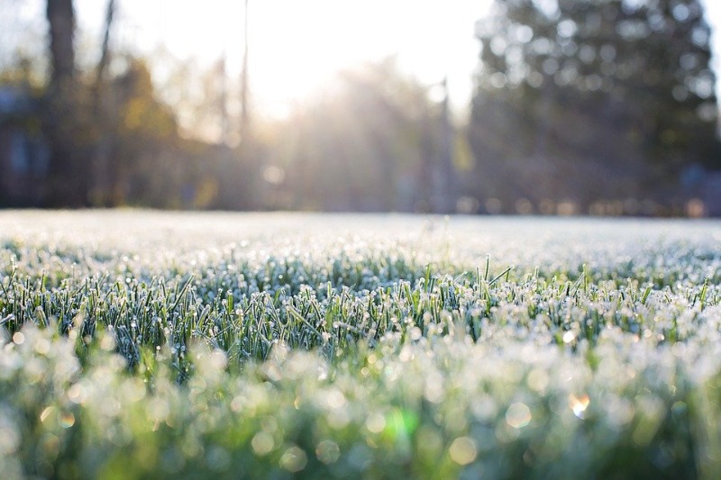 Região de Araraquara viverá dias de frio extremo com temperatura de 0ºC