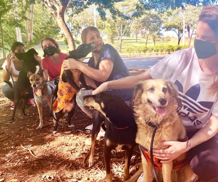 "Amigo Bicho" vai além do bem-estar de animais resgatados