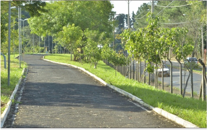 Novo decreto autoriza reabertura de Parques e retomada das Escolinhas de Esportes em Araraquara