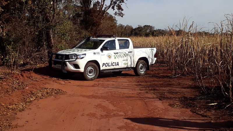 ​Empresa é multada em quase R$ 40 mil após queimada em área de preservação