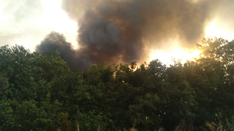Incêndio em Canavial assusta moradores de Bueno de Andrada
