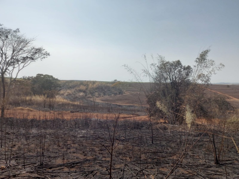 Polícia Ambiental multa empresa em mais de R$ 140 mil por incêndio em Araraquara