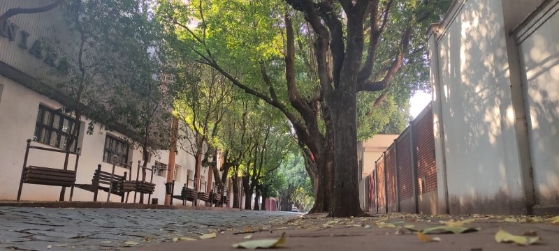 204 anos de Araraquara: conheça alguns fatos marcantes sobre a história da Morada do Sol