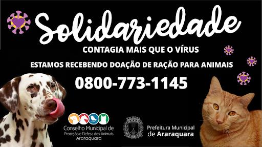 Solidariedade recebe doação de ração para cães e gatos