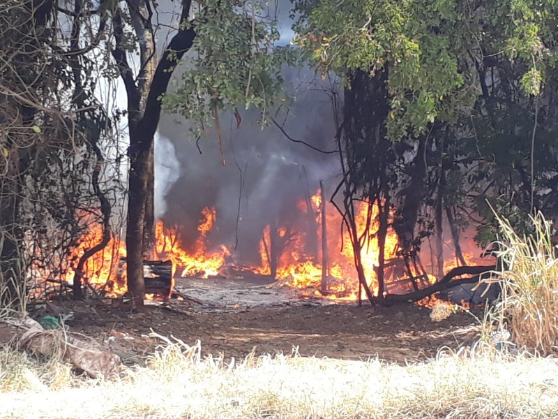 Incêndio destrói mata no Jardim Victório de Santi