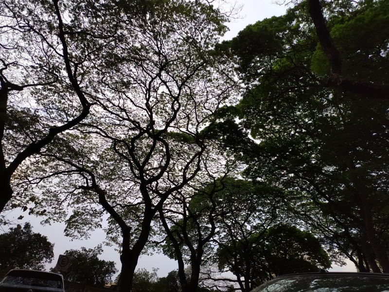 Será que chove em Araraquara?