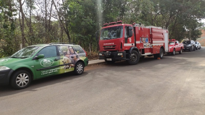 Corpo em decomposição é encontrado em mata de Araraquara