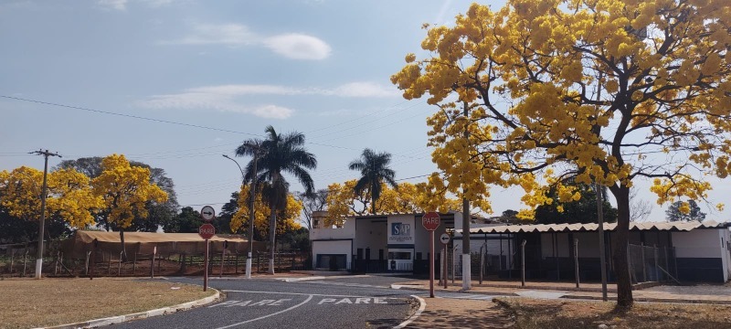 Quase 400 presos serão beneficiados com "saidinhas" em Araraquara a partir de hoje