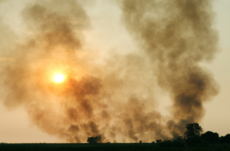 Defesa Civil alerta para altas temperaturas e riscos de incêndio em Araraquara