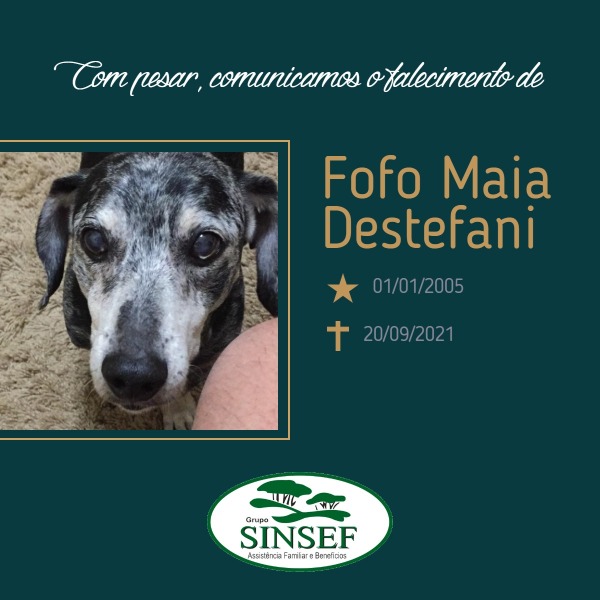 Com pesar, o Grupo Sinsef comunica o falecimento do pet Fofo Maia Destefani