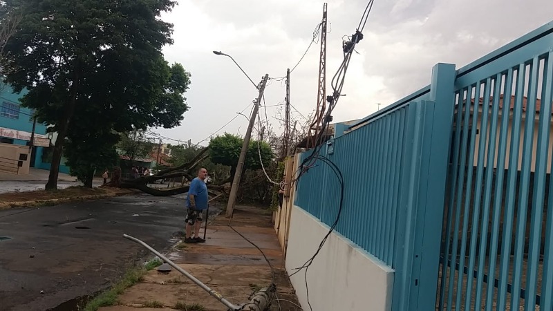 Vento derruba árvore e postes e deixa Selmi Dei sem energia