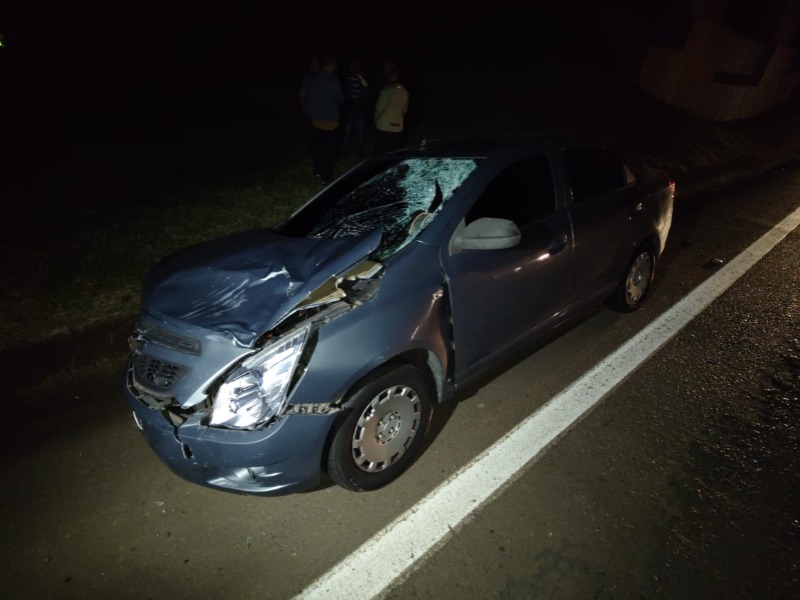 Atropelamento na Washington Luís mata mulher, de 39 anos