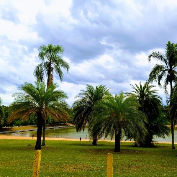 Parque do Pinheirinho terá praça inclusiva para pessoas com deficiência